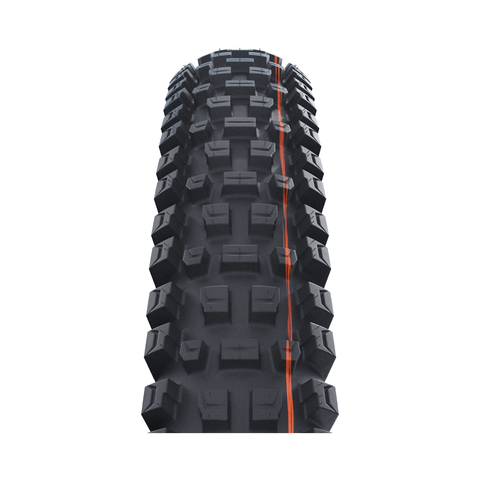 Tire Schwalbe Albert Gravity Pro 29 x 2.5 Addix Soft Radial - Genetik Sport